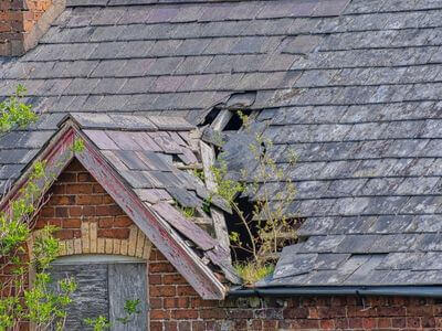 Professional water damage restoration services in Stuart